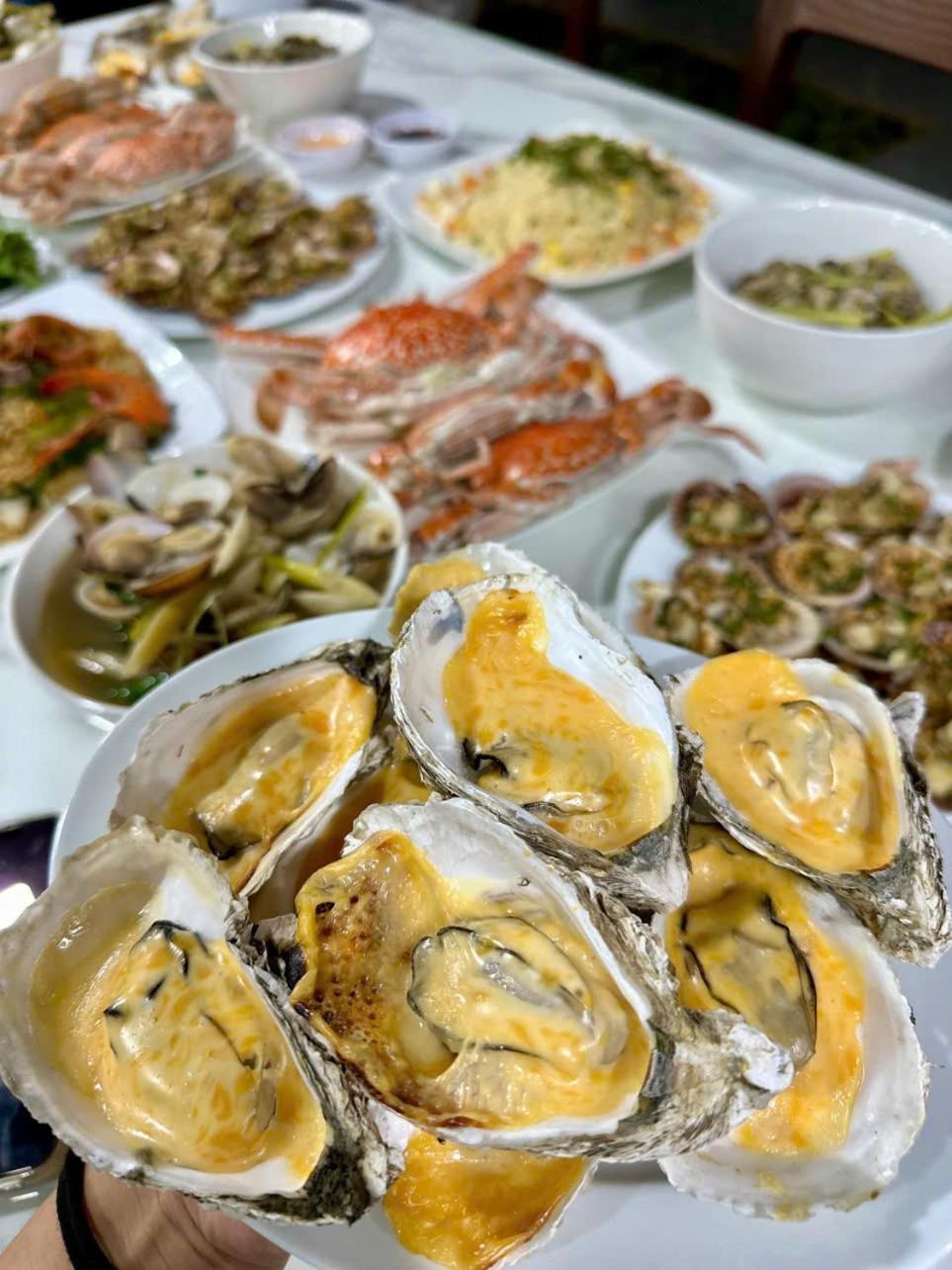 Oceanami Villa Long Hai - Vung Tau מראה חיצוני תמונה
